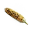 Roasted Corn