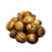 Roasted Sapnut