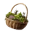 Aelan Herbalism Basket