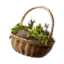 Aelan Herbalism Basket