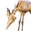 Bonestrider