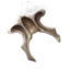 Giant Bullywog Bone