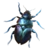 Giant Beetle Carapace