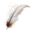 Gryphon Feather