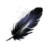 Raven Feather