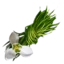 Snowdrop Thread