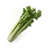 Celery