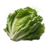 Lettuce