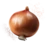 Onion