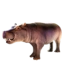 Hippo