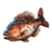 Grouper