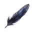 Corvus' Feather