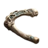 Hornhexer's Bone