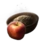 Apple Seed