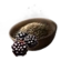 Blackberry Seed