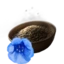 Giant Bluebell Seed