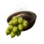 Humulus Lupulus Seed