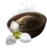 Snowdrop Seed