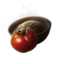 Tomato Seed