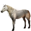 Runic Steed